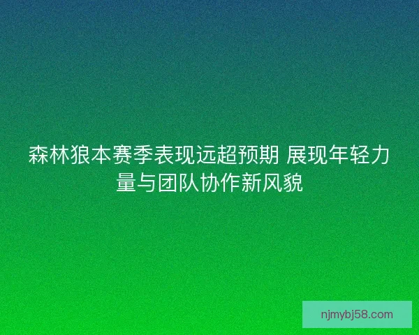 森林狼本赛季表现远超预期 展现年轻力量与团队协作新风貌